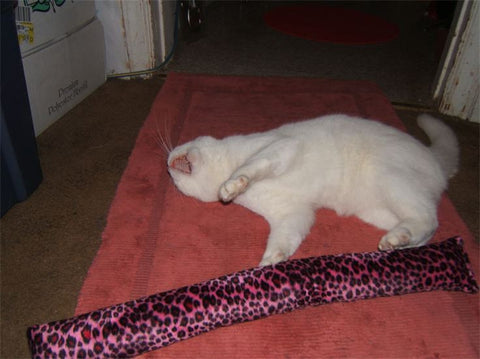 Big Buddy Catnip Pillow