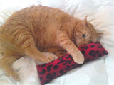 Furry Catnip Body Pillow